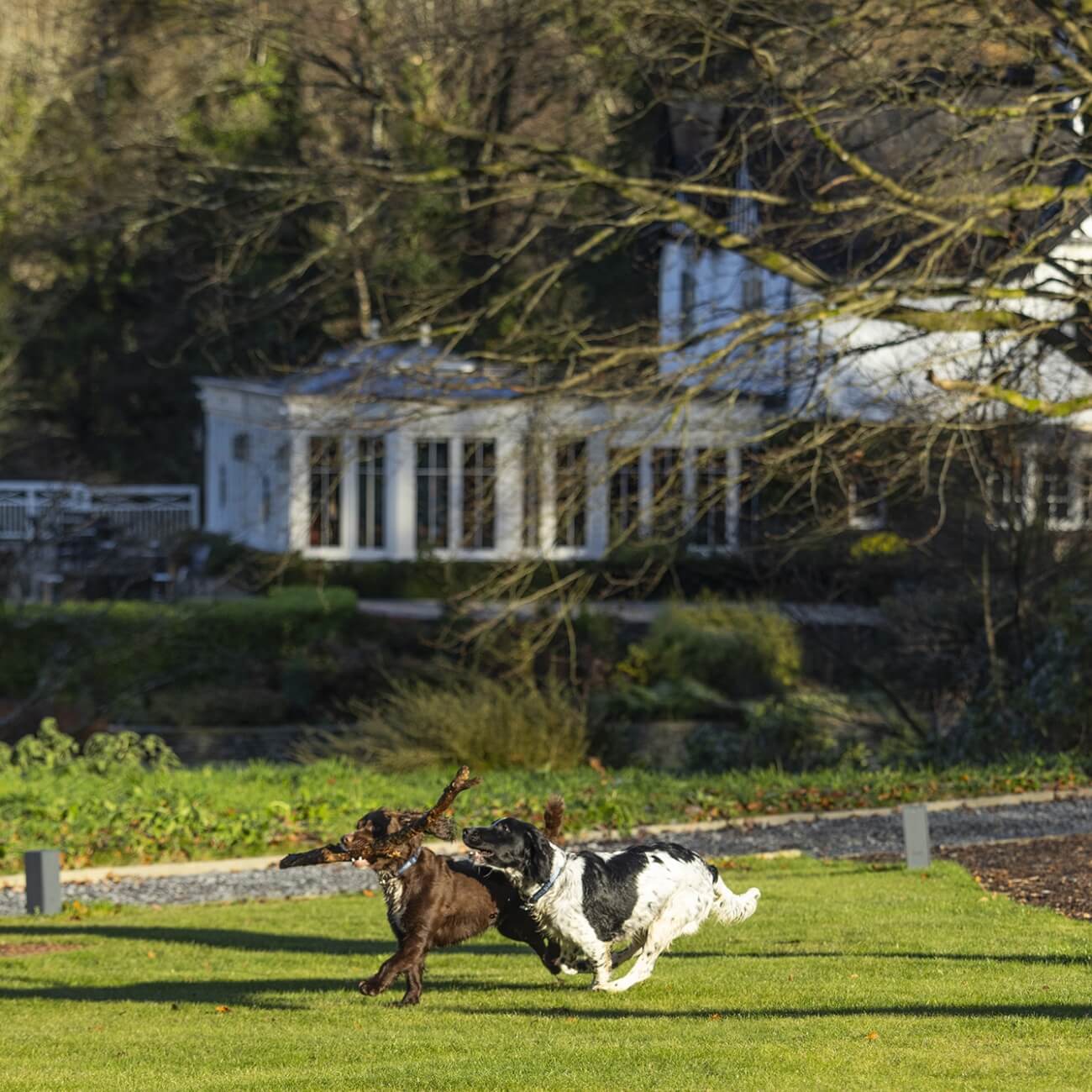 Leeu Collection UK YOUR DOG'S HOME AWAY FROM HOME Image 5